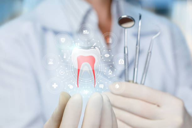 Best Dental Fillings (Composite and Amalgam)  in Spring Grove, IL